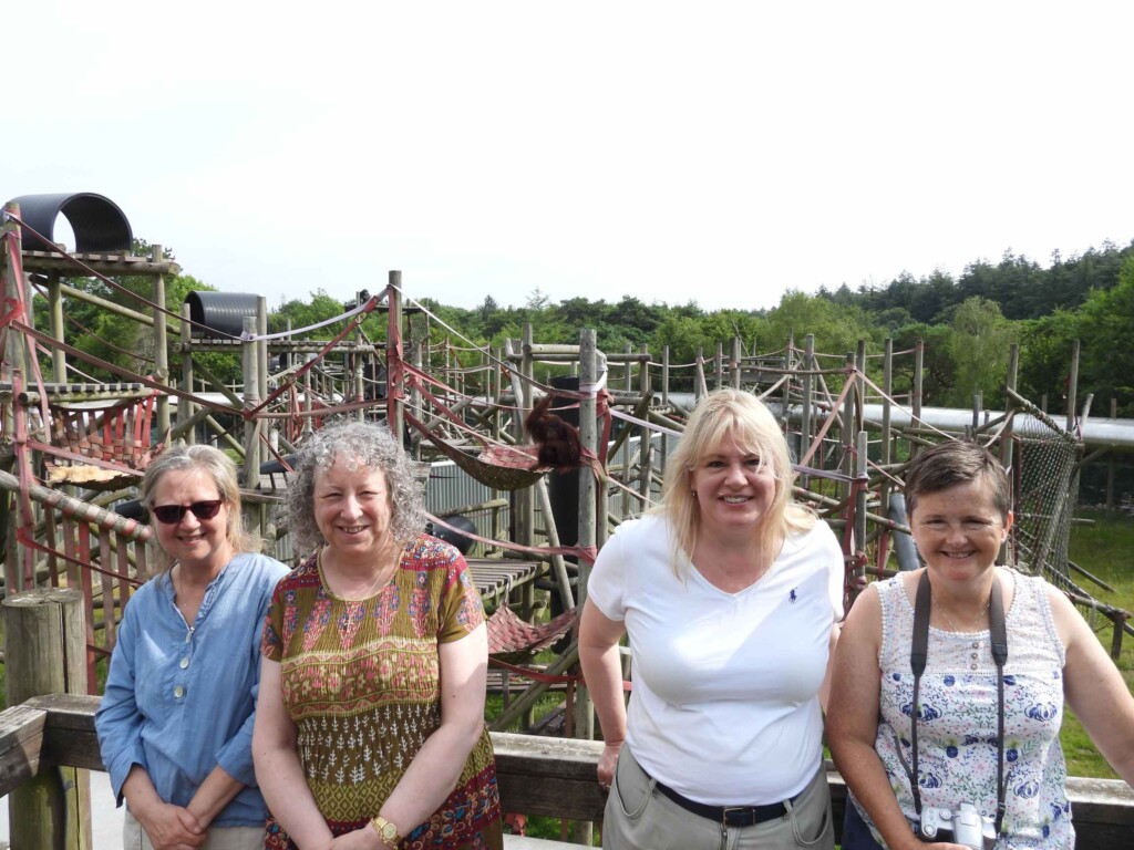 Primate Enrichment Workshop - June 2025