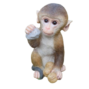 Capuchin Baby
