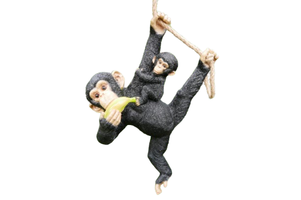 Hanging Chimp and Baby