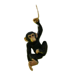 Hanging Chimp