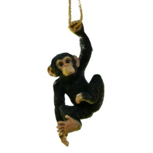 Hanging Chimp