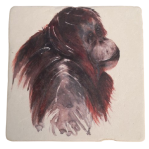 Stone Orang Coaster