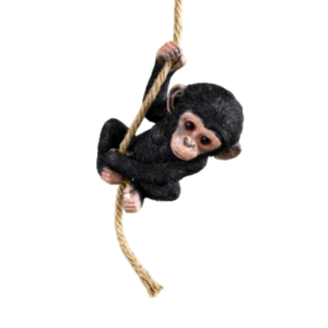 Baby Chimp on a Rope