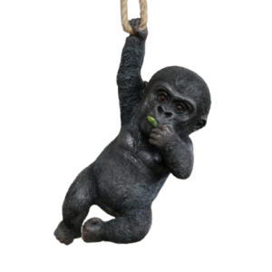 Baby Gorilla on a Rope