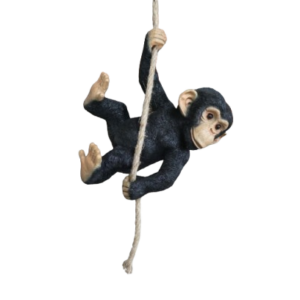 Swinging Chimp