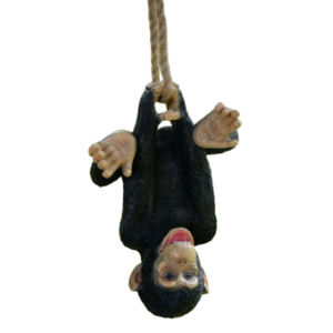 Upside Down Hanging Chimp